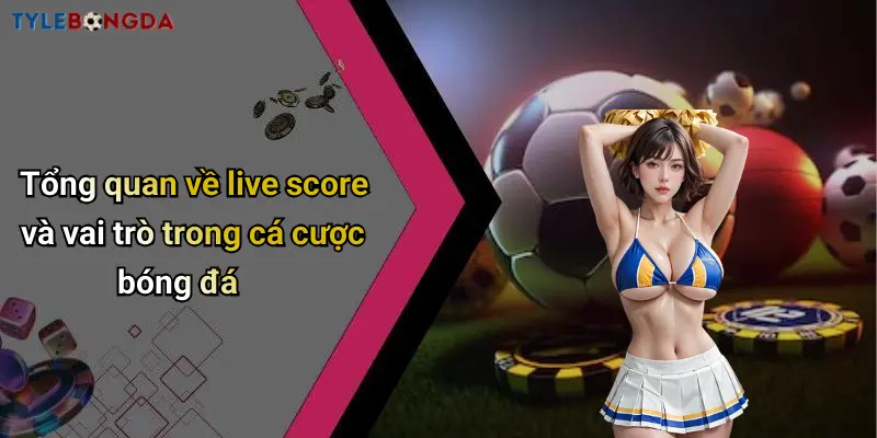 Tổng quan về live score và vai trò trong cá cược bóng đá