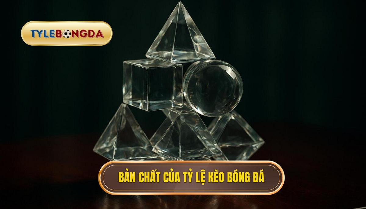 Bản chất của các con số trong tỷ lệ kèo bóng đá