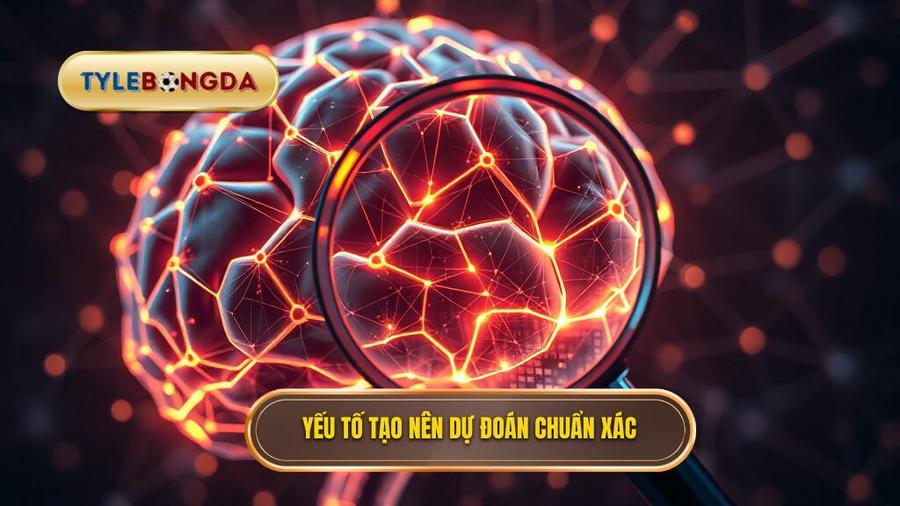 Yếu tố tạo nên dự đoán chuẩn xác