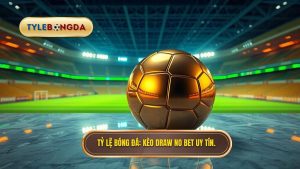 Tỷ lệ bóng đá Kèo Draw no bet uy tín.