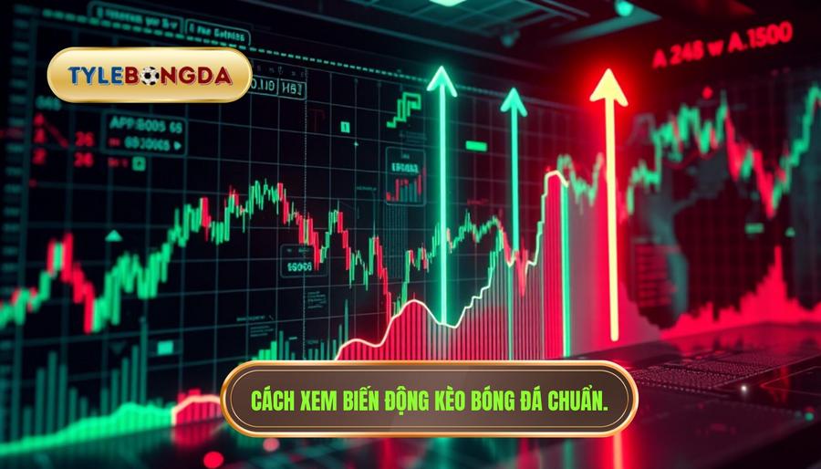 3. Cách xem biến động kèo bóng đá chuẩn.