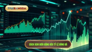 Cách xem biến động kèo bóng đá: Bí quyết soi kèo từ chuyên gia